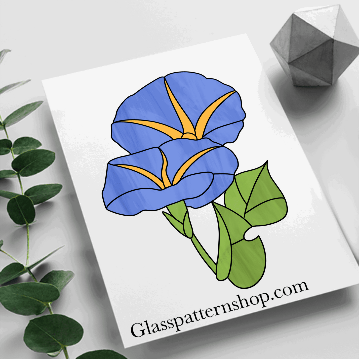 Morning Glory stained glass suncatcher pattern – digital download. Printable outline design for stained glass projects, resizable and customizable.